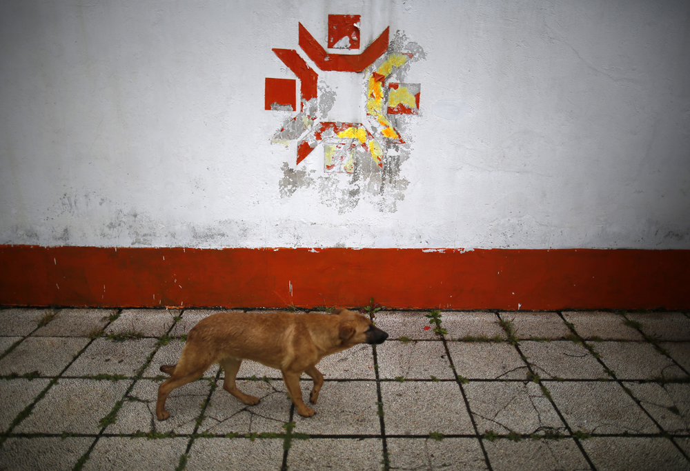 A dog walks past the Olympic snowflake logo on the wall of the Kosevo stadium, the venue of the opening ceremony for the 1984 Winter Olympics in Sarajevo