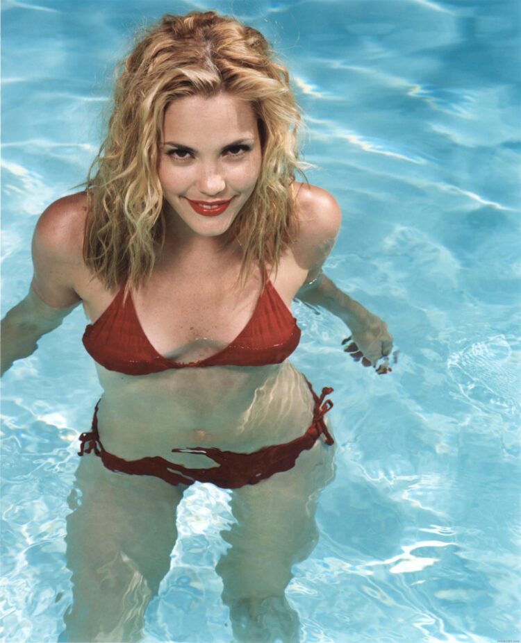 Leslie Bibb 2