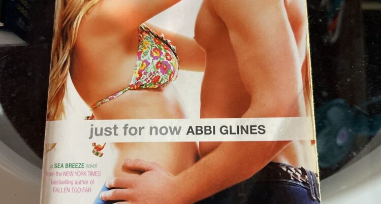 abbi glines 2