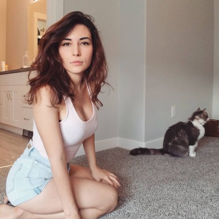 alinity divine 8