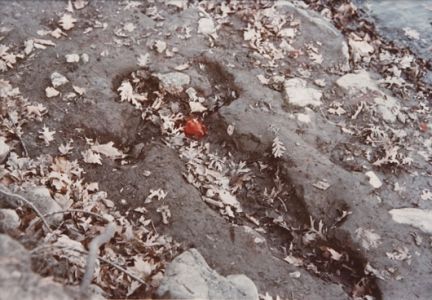 ana mendieta 8