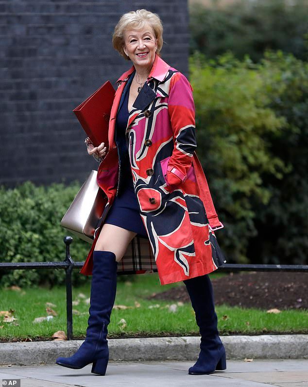 andrea leadsom 3