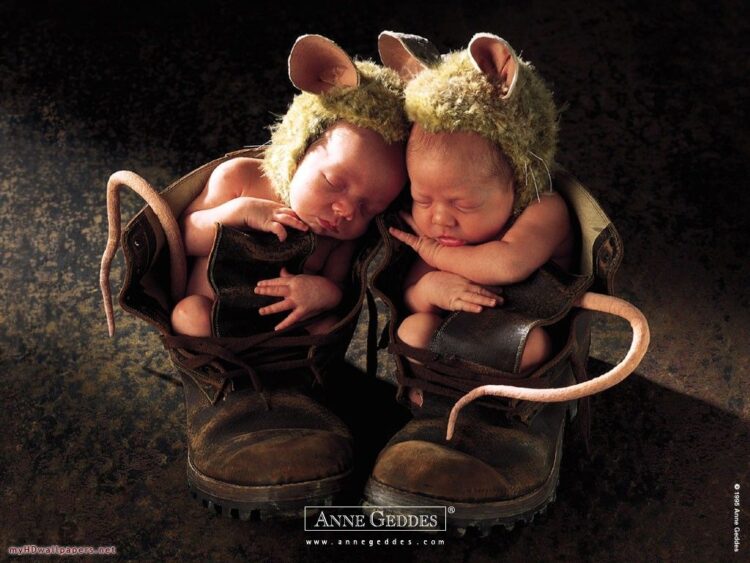 anne geddes