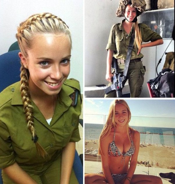 avital akko 9