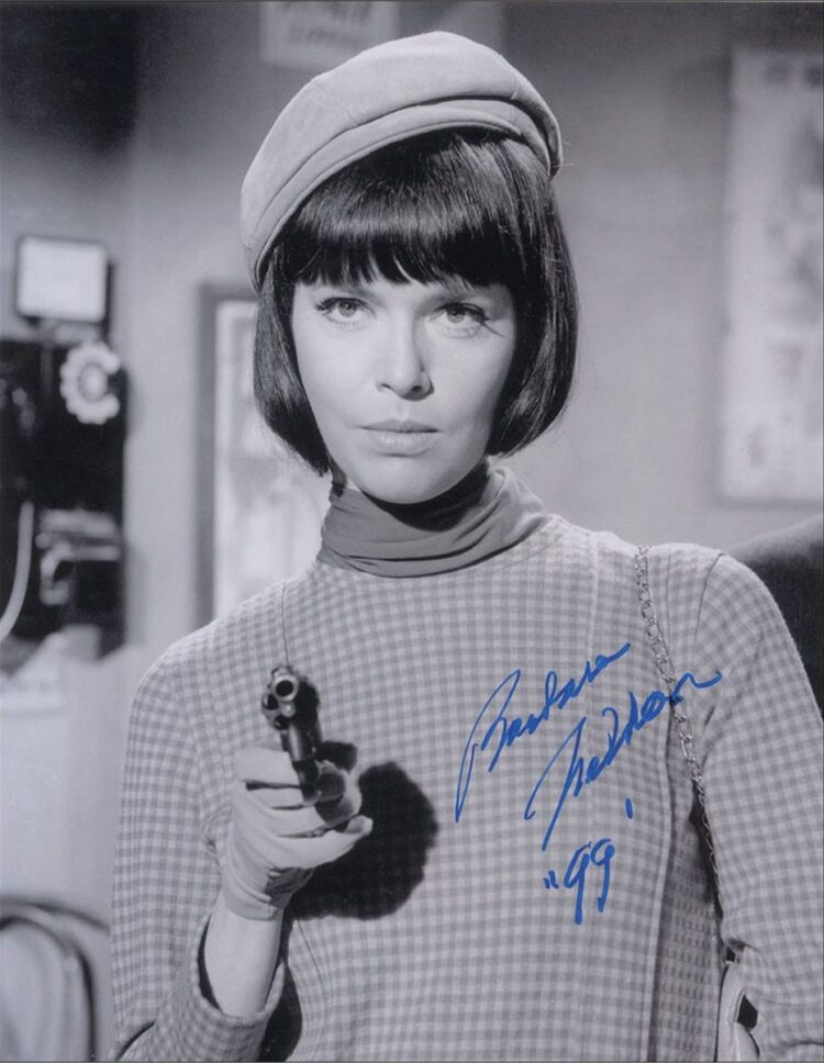 barbara feldon 9