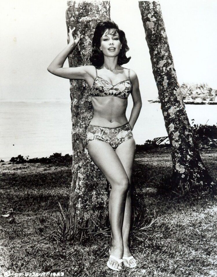 barbara montgomery 3