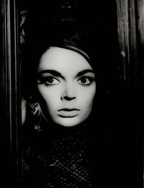 barbara steele 6