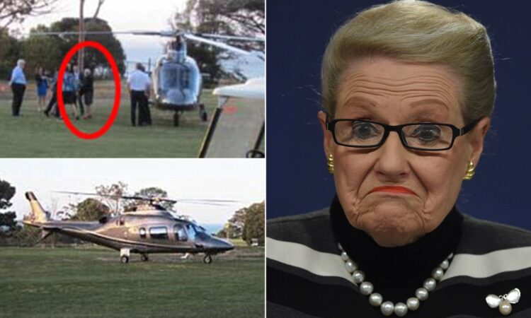 bronwyn bishop 2