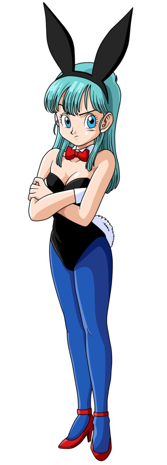 bulma bunny 16