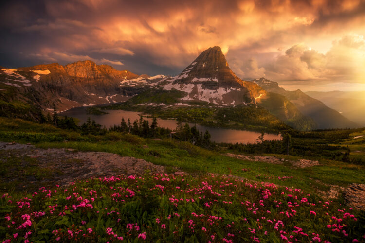 candace dyar 14