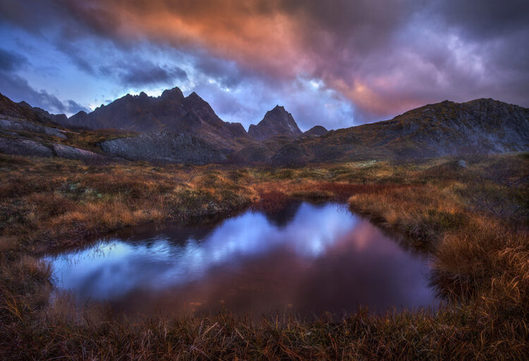 candace dyar 6