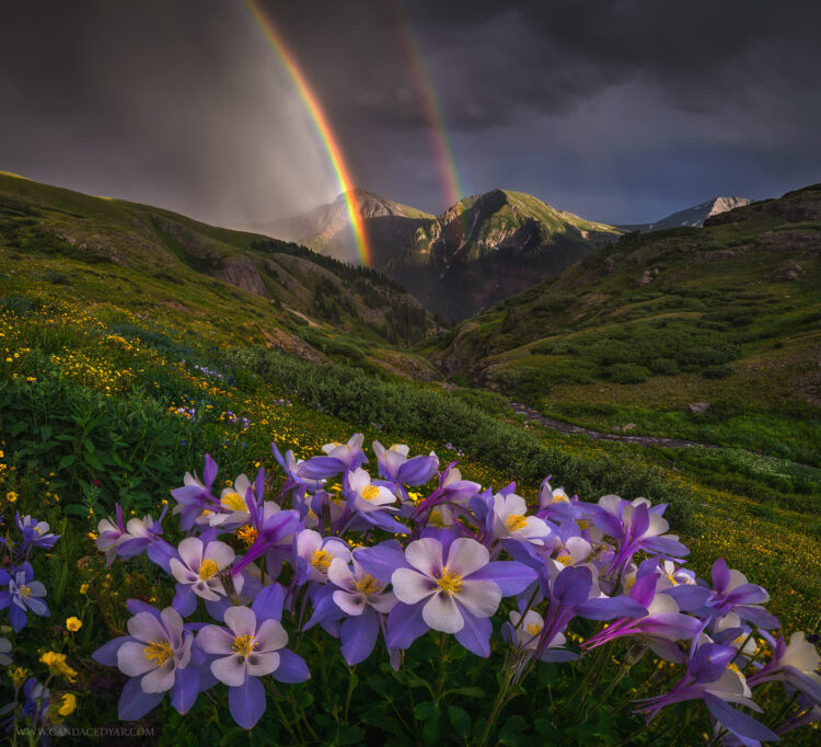 candace dyar 7