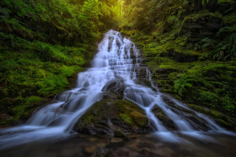 candace dyar 8