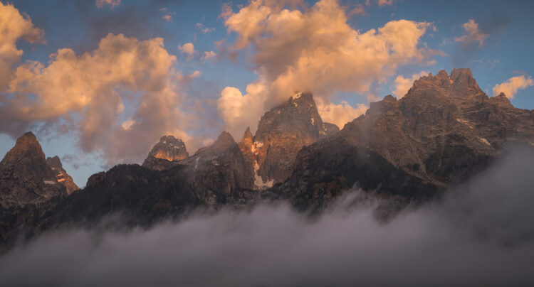 candace dyar