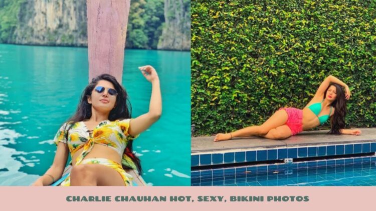 charlie chauhan 7