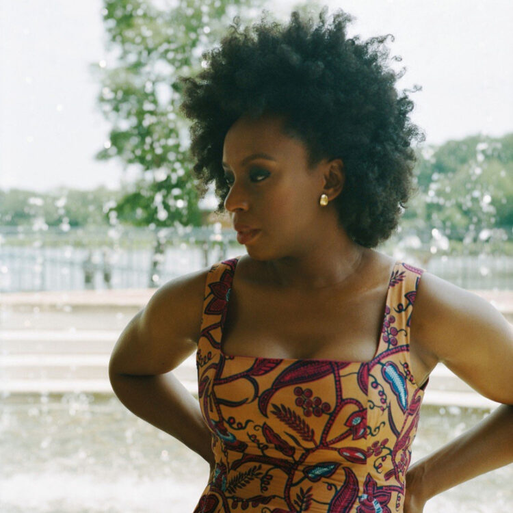 chimamanda ngozi adichie 3