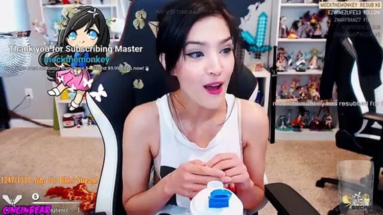 cincinbear 8