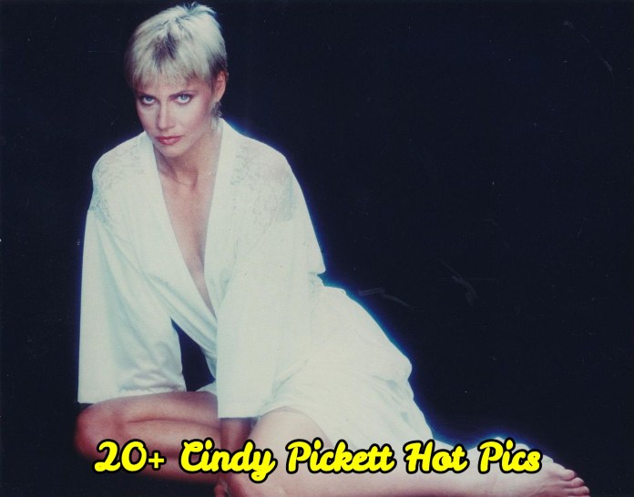 cindy pickett 3