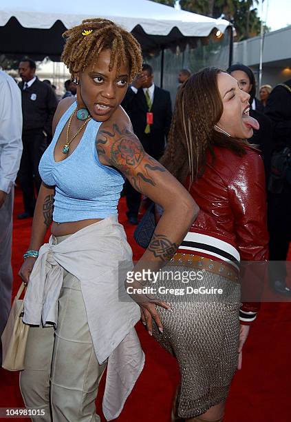 debra wilson 8