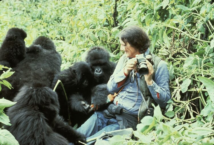 dian fossey 9