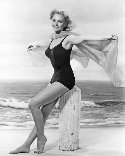 diane mcbain 4