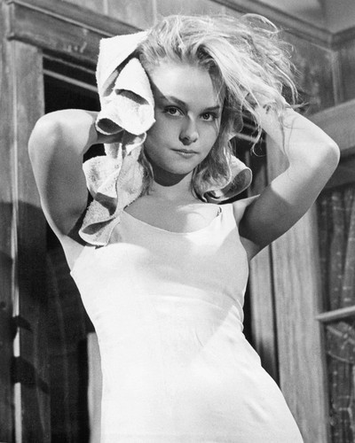 diane mcbain 7