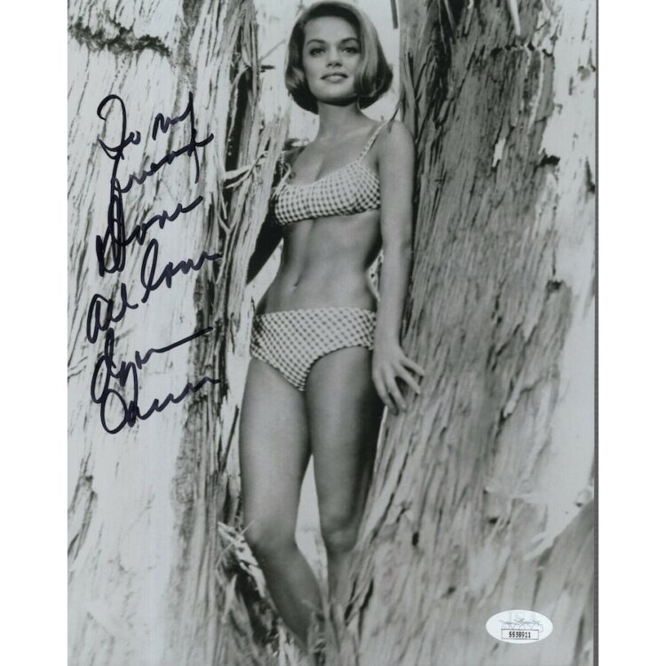 dyan cannon 2