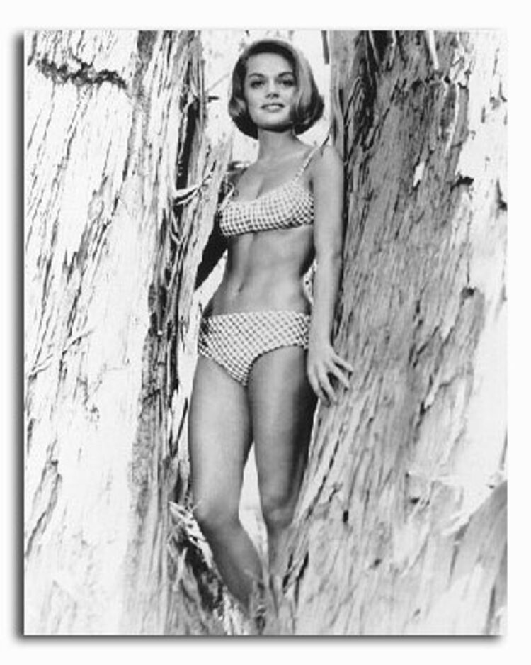 dyan cannon 3