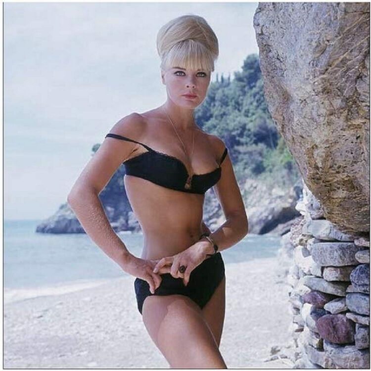 elke sommer 2