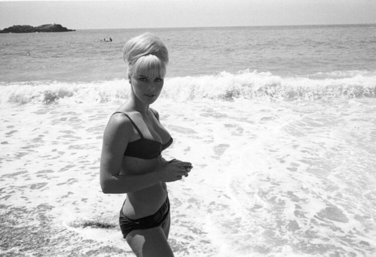 elke sommer 8