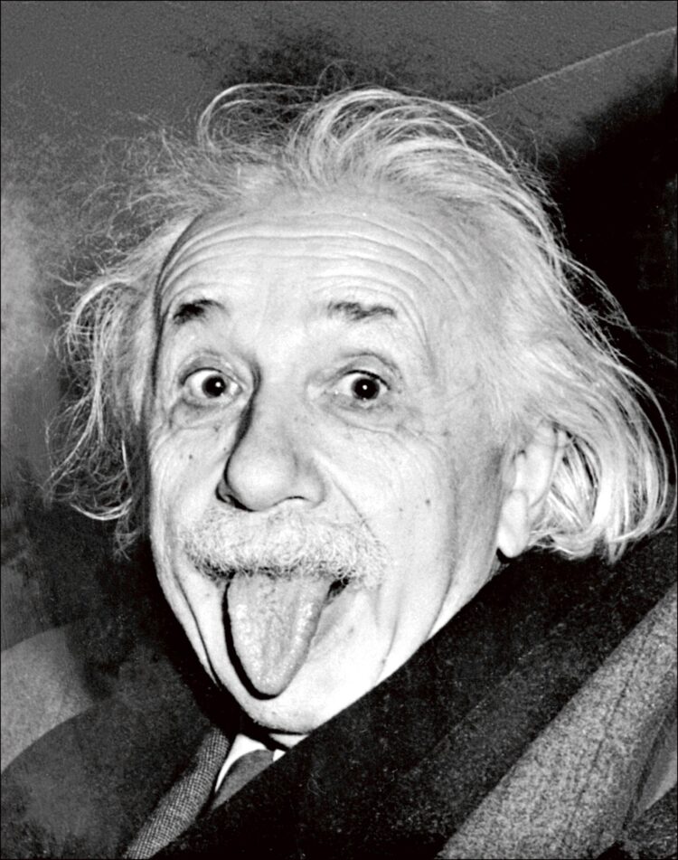 elsa einstein 9