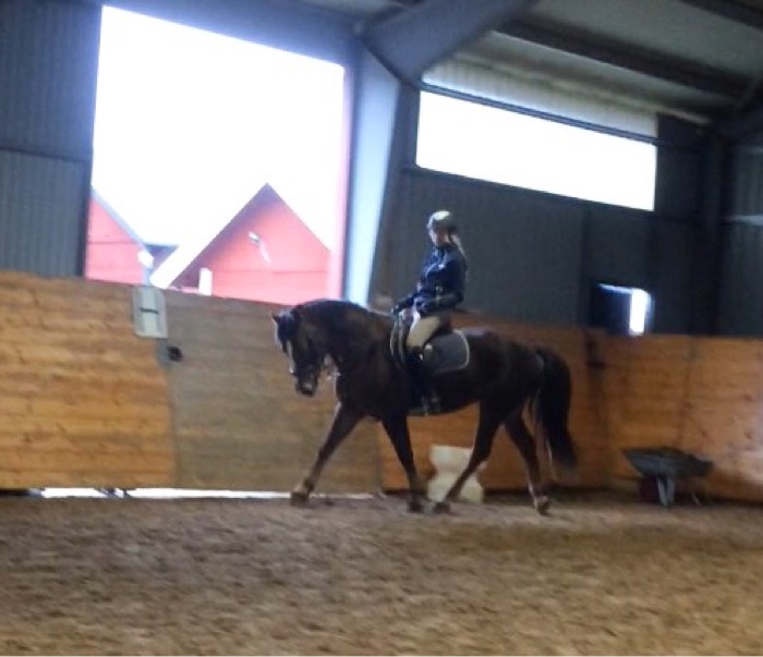 esmeralda silverforce 5