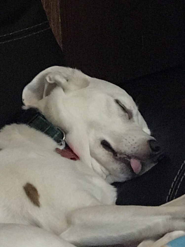 exclusiveemilyk8z 3 scaled