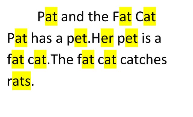 fatcatpat 1