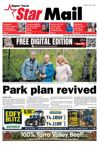 fiona ashlyn berg 15