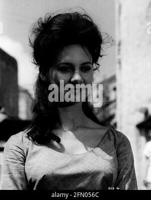 francesca annis 4