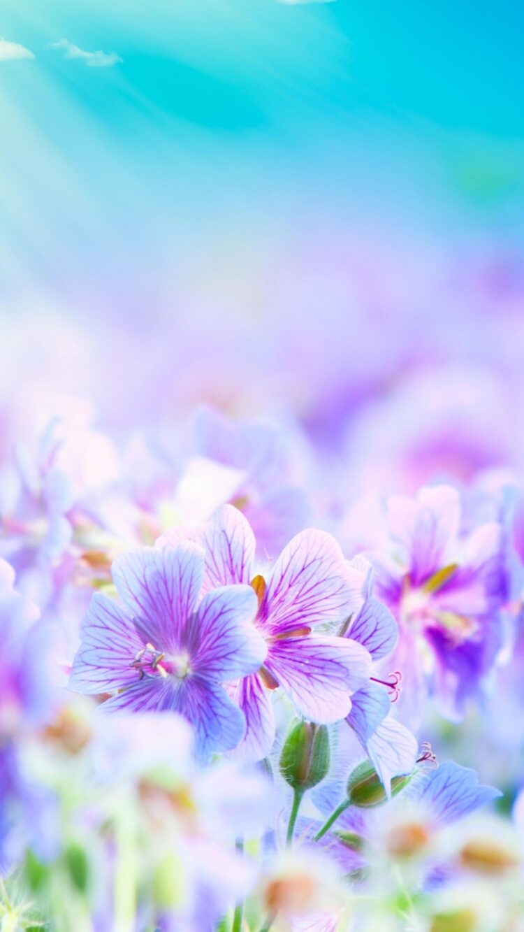 gabriella toth 2 scaled