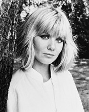 glynis barber 5