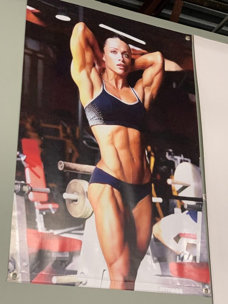 greyciane chandoha 12 scaled