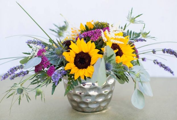 holly heider chapple 3