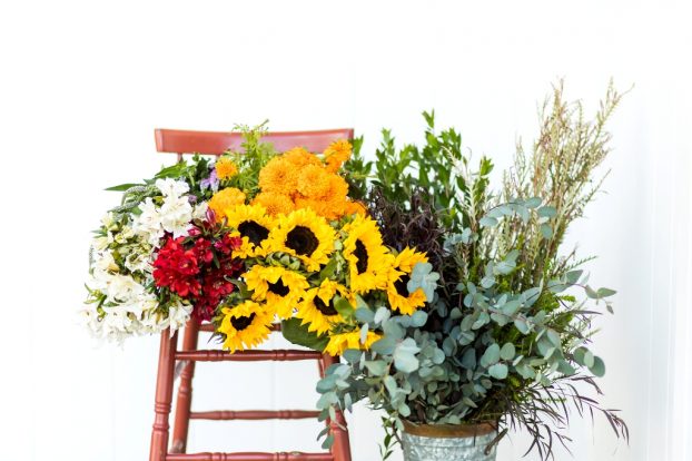 holly heider chapple 5