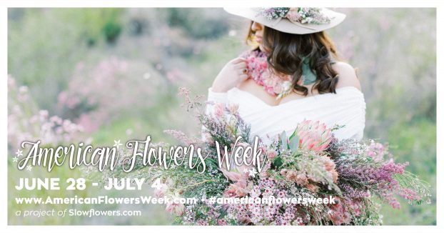 holly heider chapple 6