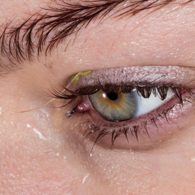 holly lapsley fletcher 8