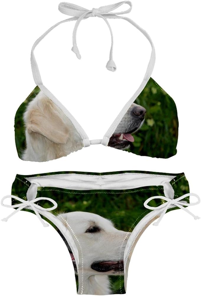 i love golden retrievers 2