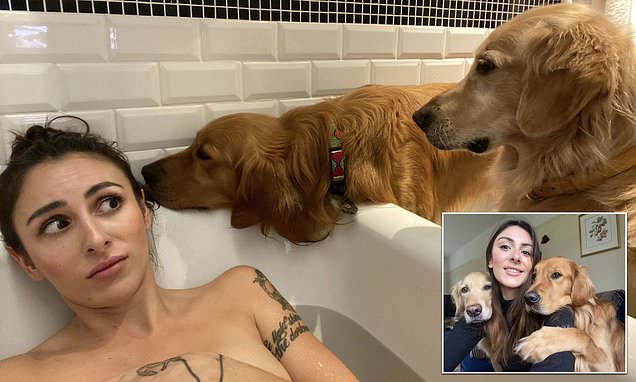 i love golden retrievers 7