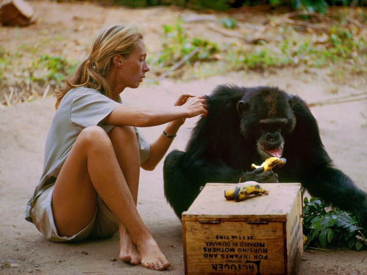 jane goodall 10