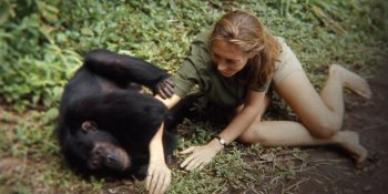 jane goodall 9