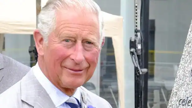 jenny cayon merino 8