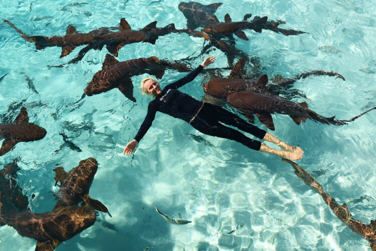 jillian morris brake 5