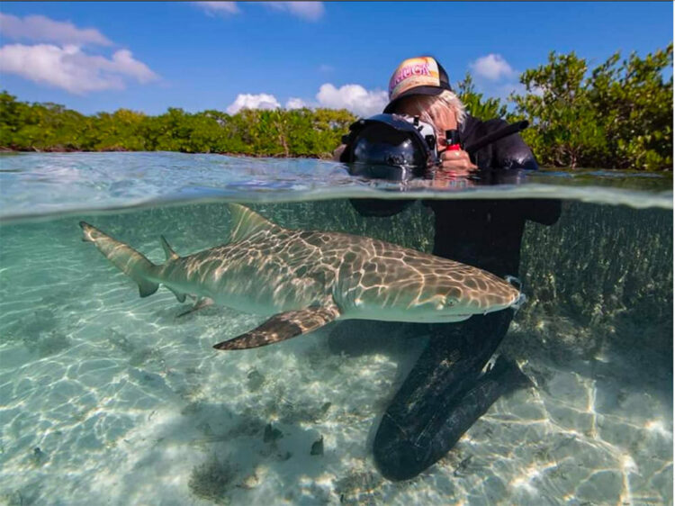 jillian morris brake 7